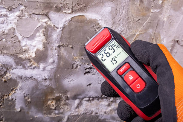 Evans City, PA Mold Removal Company