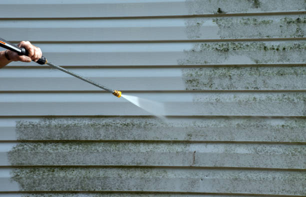 Best Affordable Mold Removal  in Evans City, PA